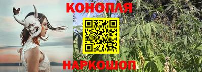 гашик Гагарин