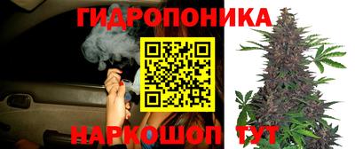 герыч Гай