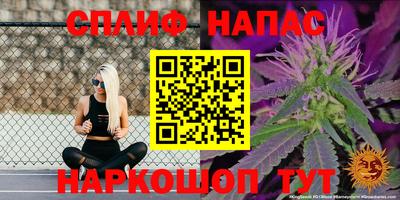гашик Гагарин