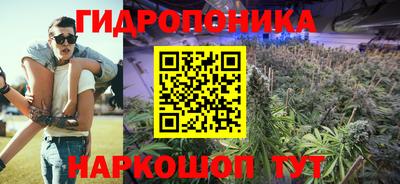 гашик Гагарин