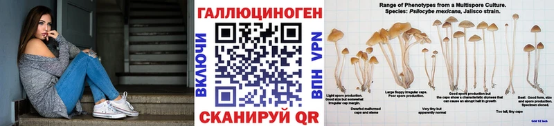 Галлюциногенные грибы Psilocybe  kraken рабочий сайт  Кудымкар  наркота 
