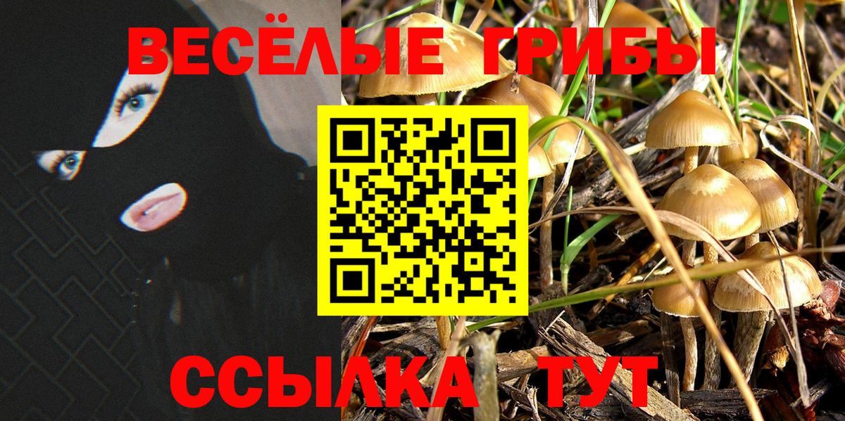 Галлюциногенные грибы Magic Shrooms  Галлюциногенные грибы Psilocybine cubensis  Вход с VPN  Кудымкар 