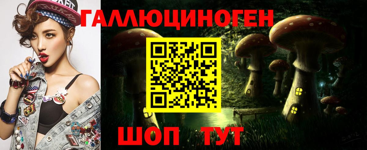 Псилоцибиновые грибы Psilocybine cubensis Кудымкар